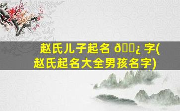 赵氏儿子起名 🌿 字(赵氏起名大全男孩名字)
